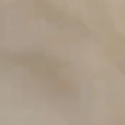 에스파