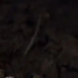 wndgurehrwk0391의 호스트 김독자