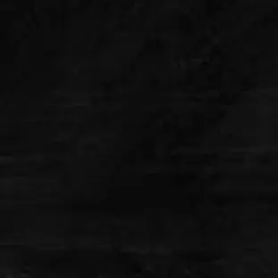 77.의 柳
