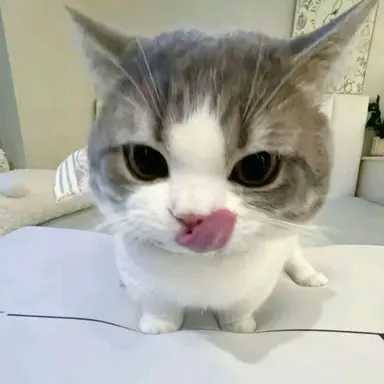 Profile image of 네시