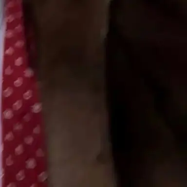 Profile image of 권지용