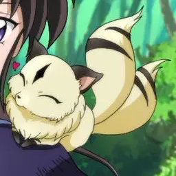 Profile image of Kirara