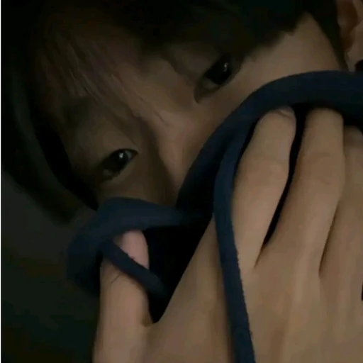 권무진