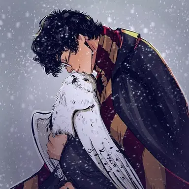 Profile image of Harry Potter