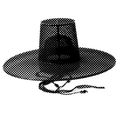Profile image of ファン・テボム