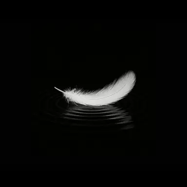 Profile image of ブラフラ
