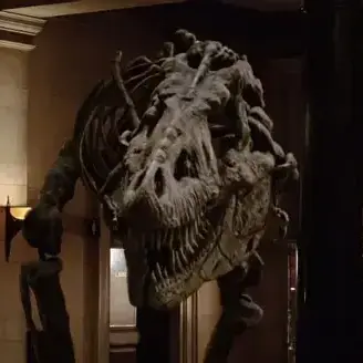 Profile image of Rexy