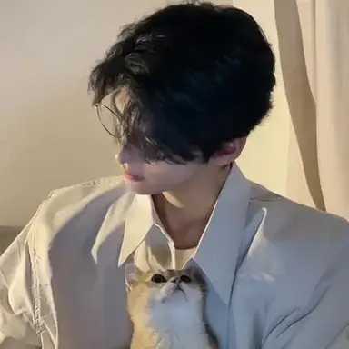 Profile image of Lin Wei