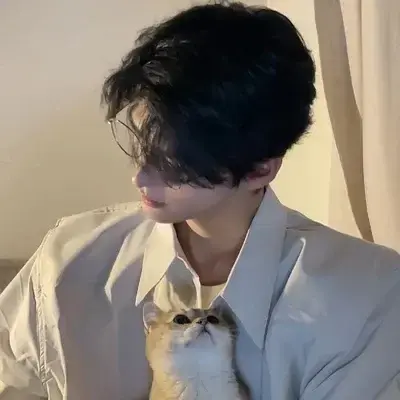 StupidFinch1186의 Lin Wei