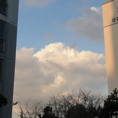 Profile image of 맘대로