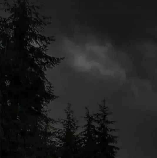 PuristTimer2374의 Skinwalker boyfriend