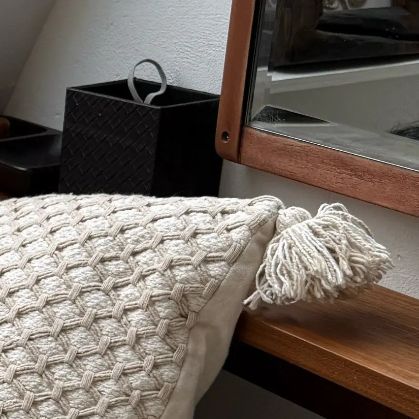 SoftZebra6078의 孤児院出身