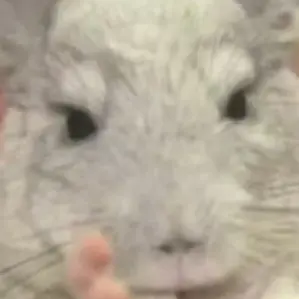 koooooo333의 う