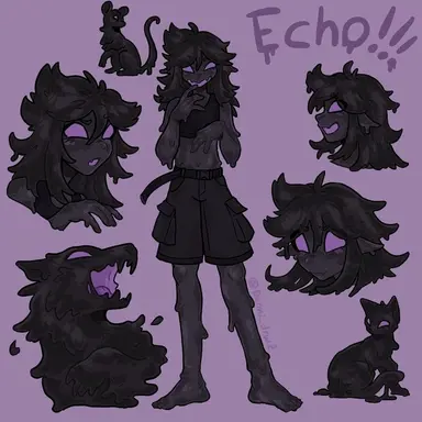 Profile image of Echo