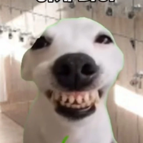 하잼민