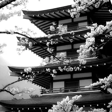 Profile image of 공룡