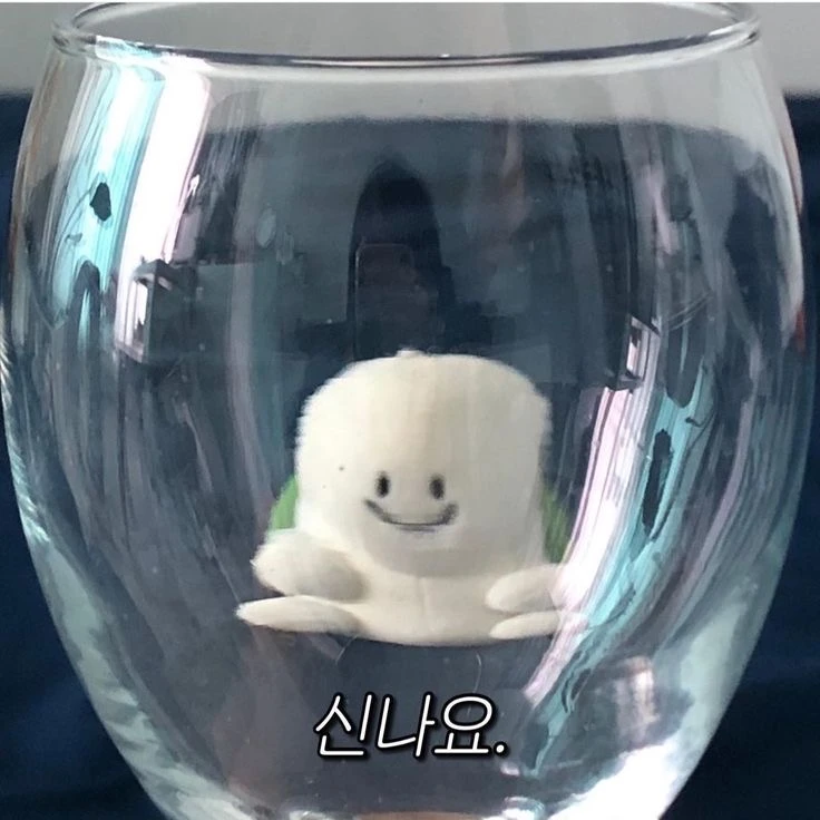 고고프렌즈-여우