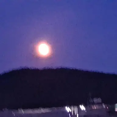 Profile image of 야르