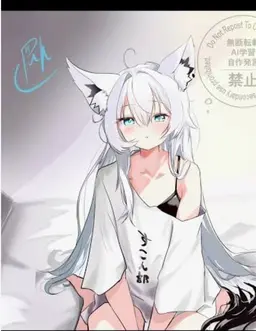 Profile image of 白上フブキ
