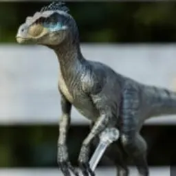 Profile image of 랩터