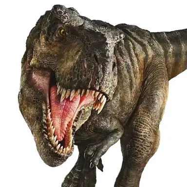 Profile image of 앰버