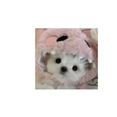 Profile image of 유저