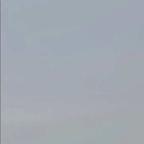 류수현