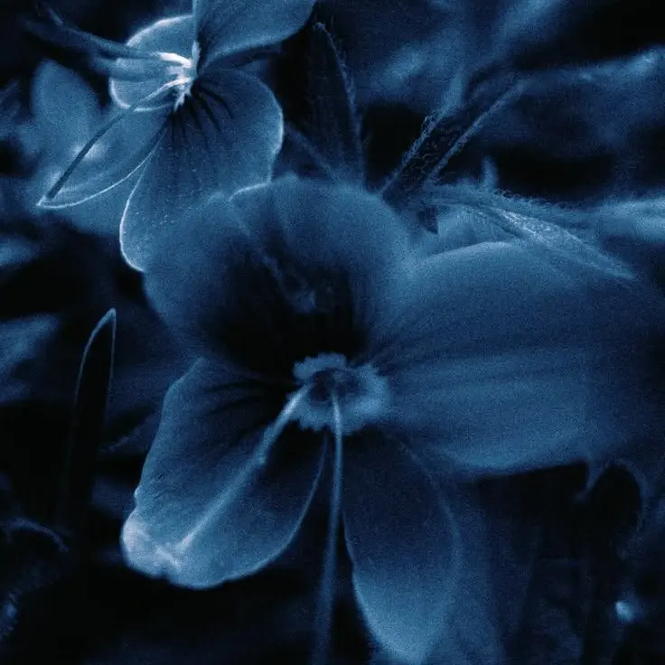 LightNurse0685의 Shelter from the Dark