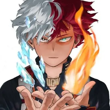Profile image of Shoto Todoroki