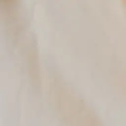 Profile image of 함은정