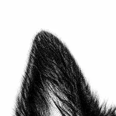 Profile image of Lucien