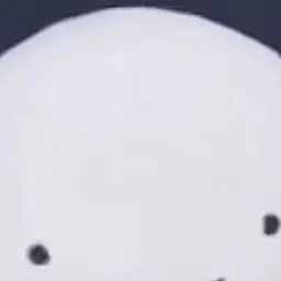 Profile image of ㅁㅈㅎ