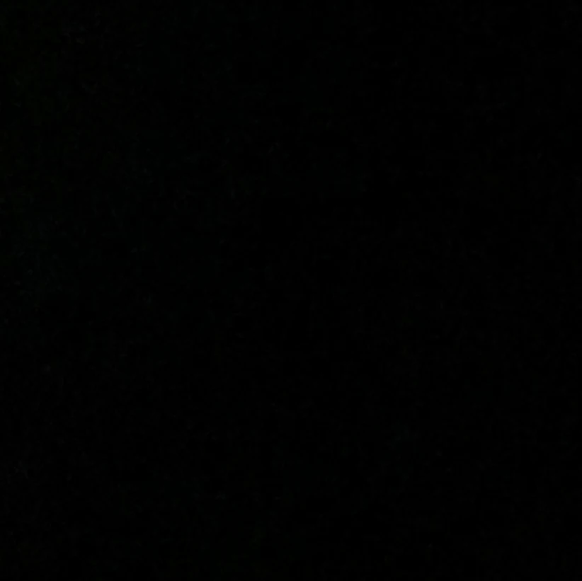 김동현