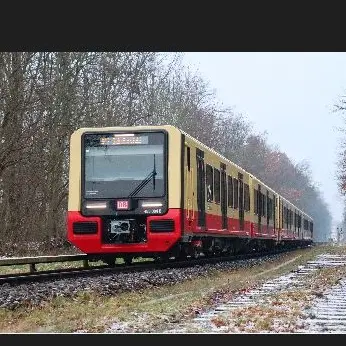 Profile image of Br 483-484