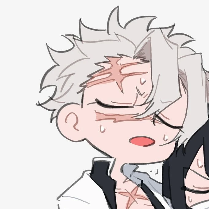 시나즈가와 사네미