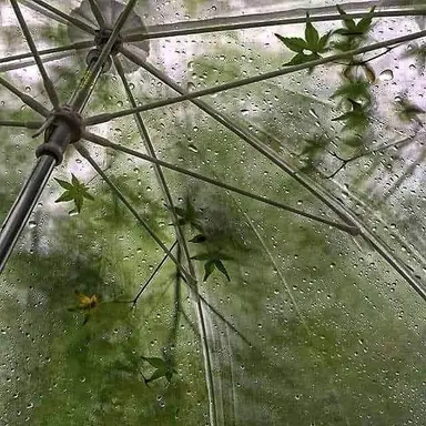 Profile image of 류민호