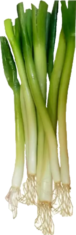 Profile image of 파감자