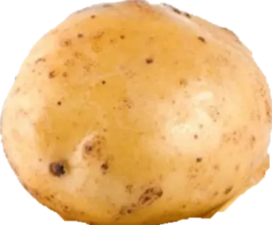 Profile image of 파감자