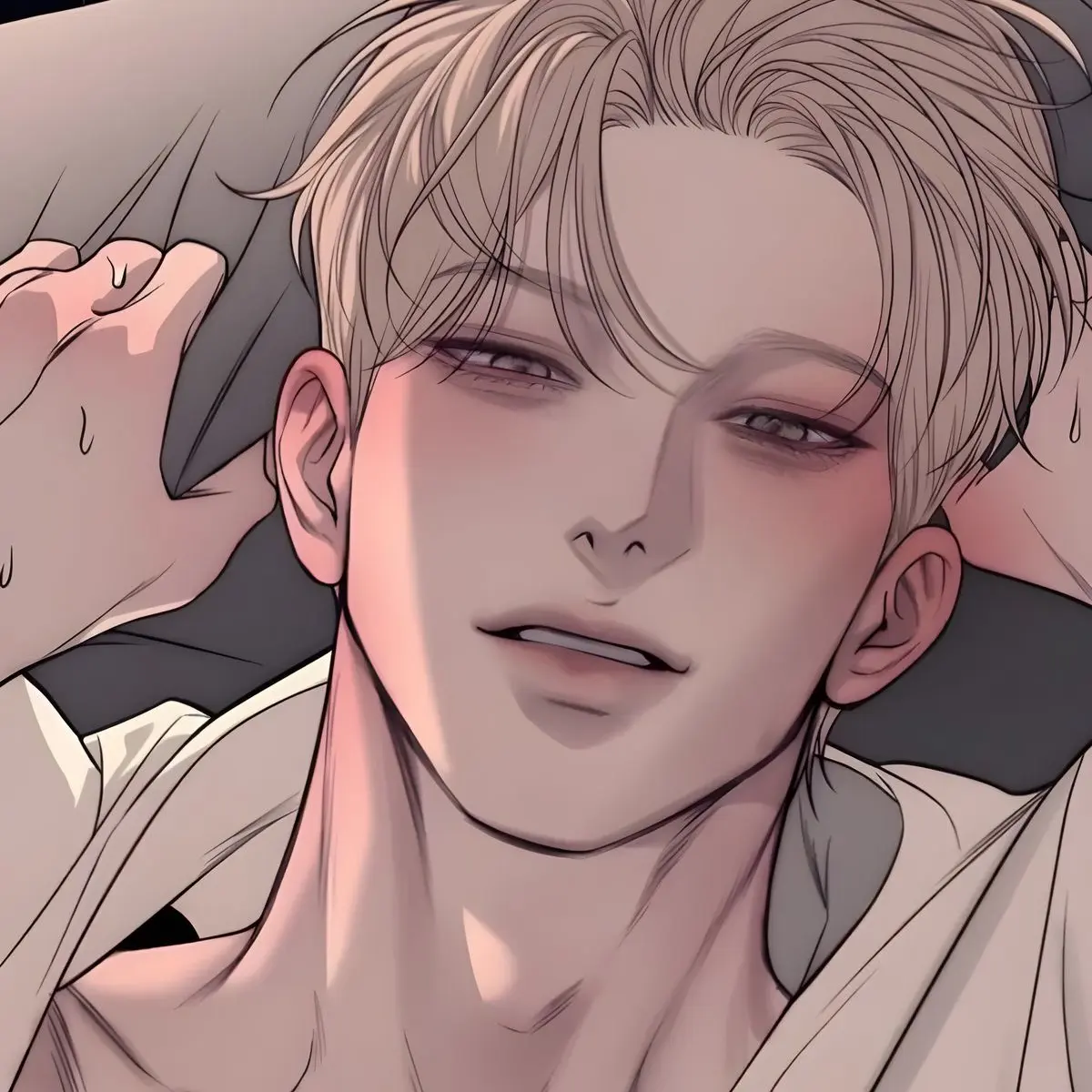 QuickDolce6660의 테라 리베오