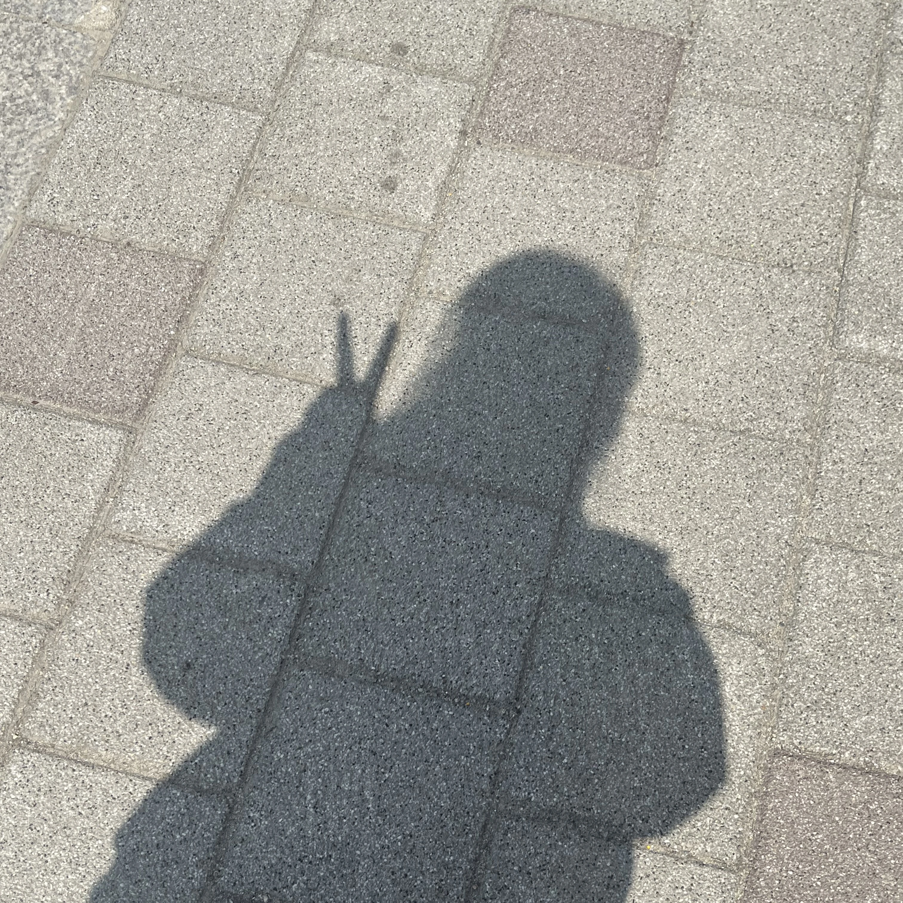 평학
