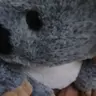 Profile image of Jason