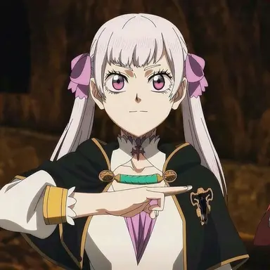 Profile image of ノエル