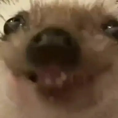 Profile image of 원영