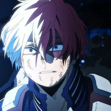 Profile image of Shoto Todoroki