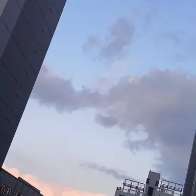 Profile image of 꽥