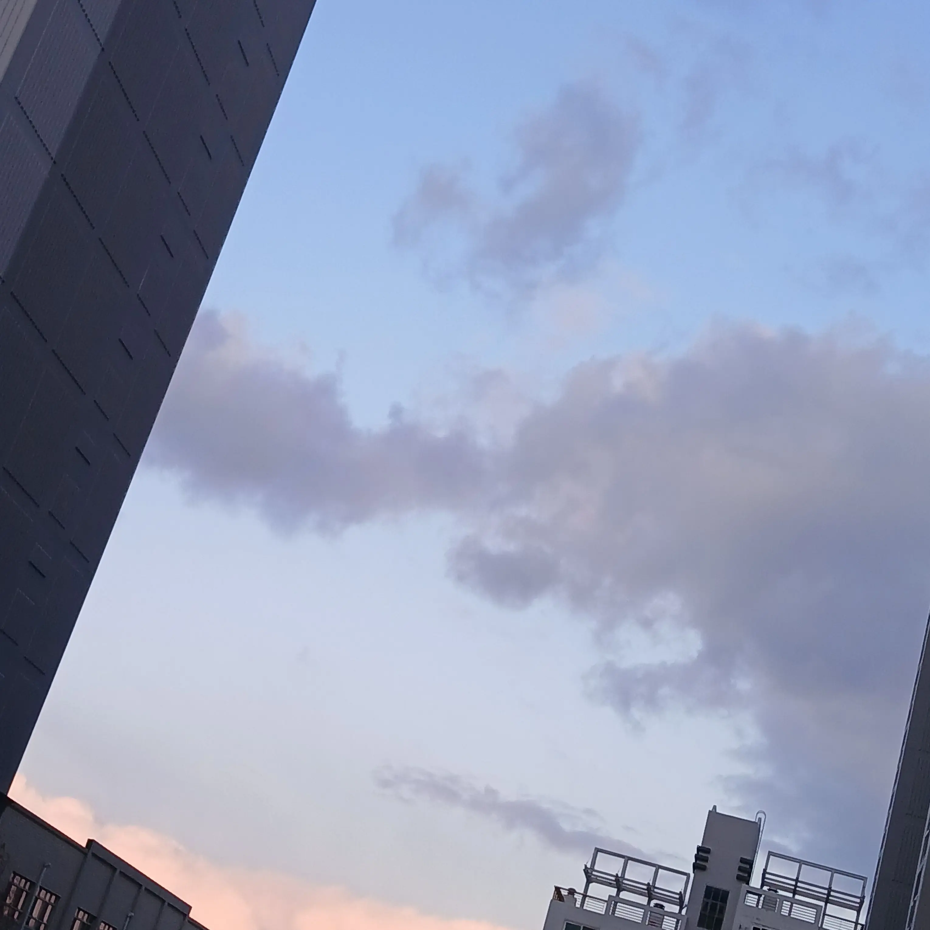 FolksyChime3893의 꽥탐+드리미 유저 핑구