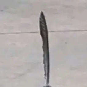 Profile image of 이수빈