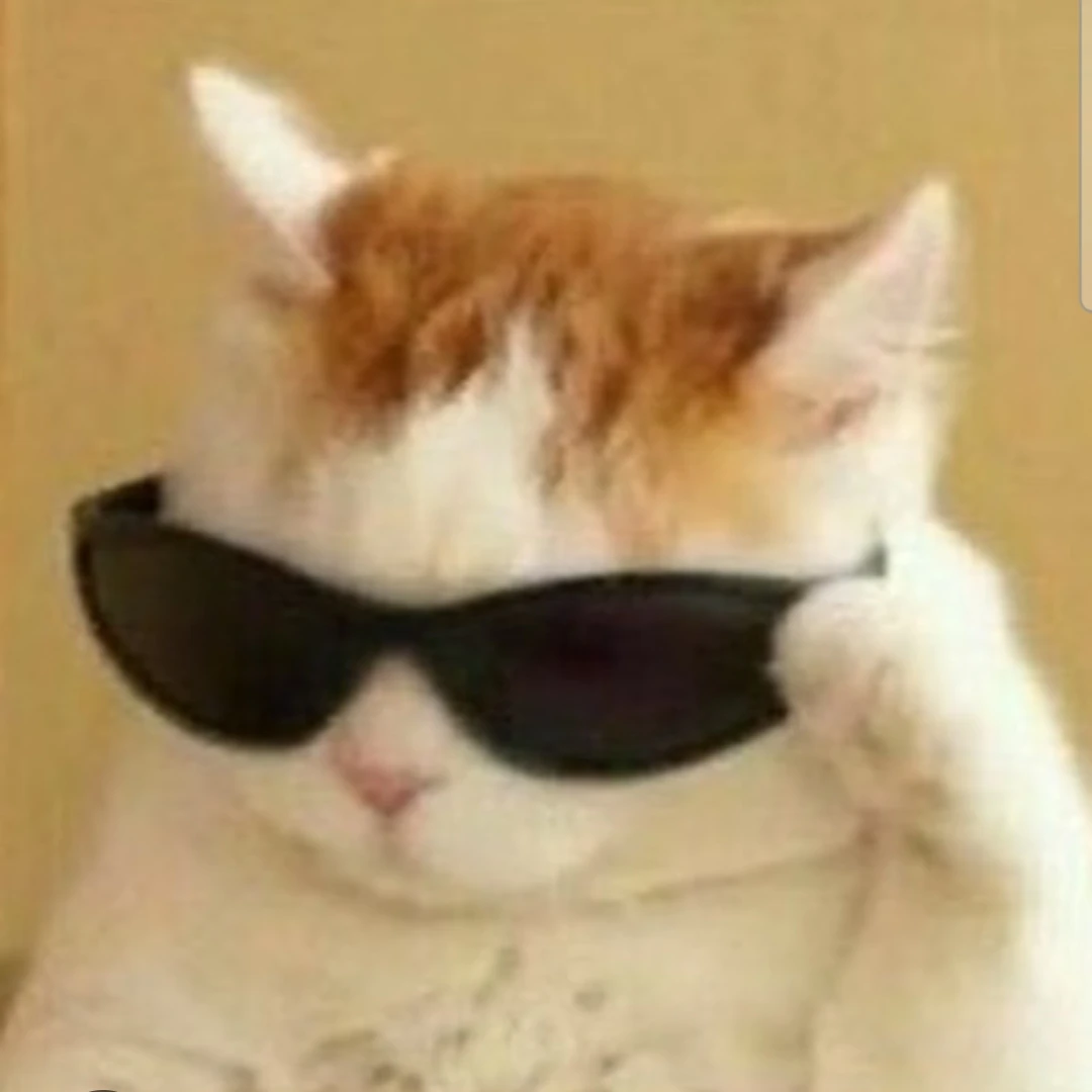 Z무리 홍보