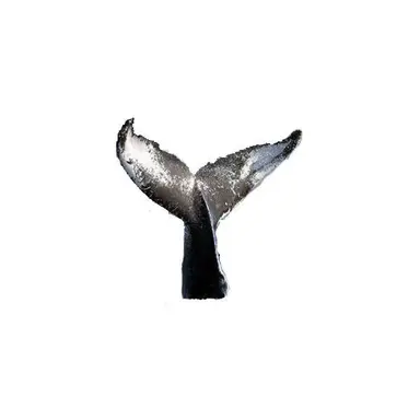 Profile image of 윤세한