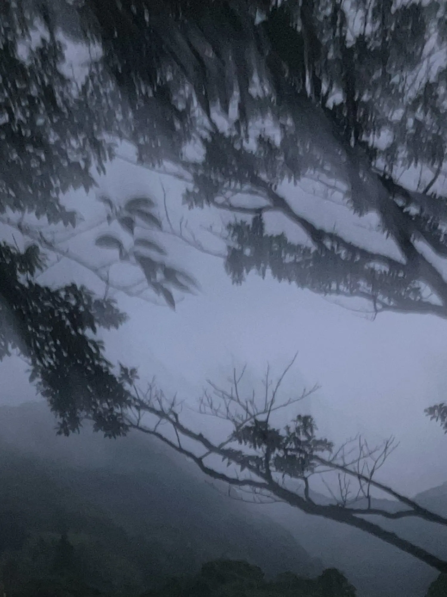 PlacidSound5174의 ‧⁺ ⊹˚.